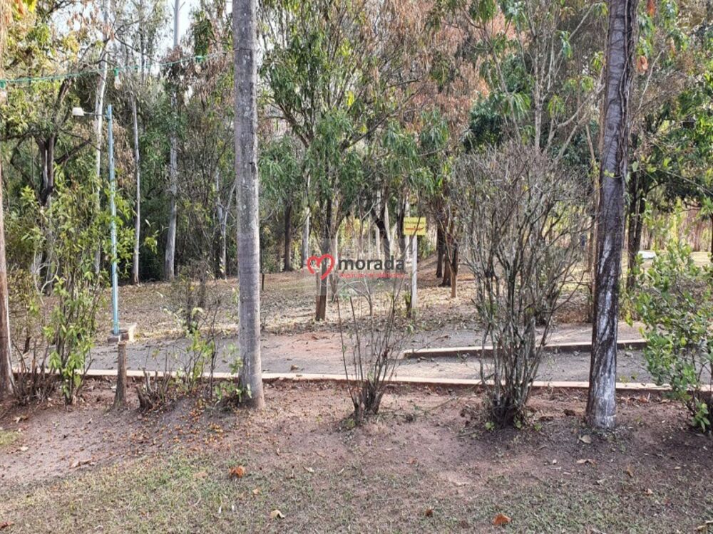 Chácara, 4 quartos - Foto 6