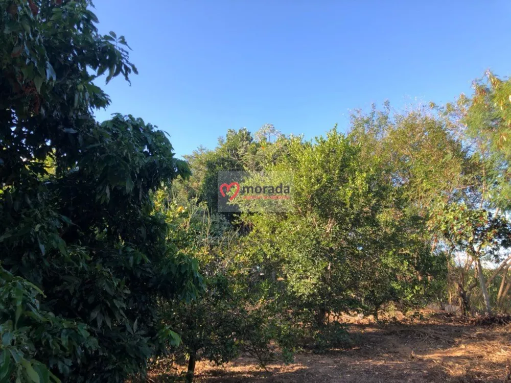 Chácara, 5 quartos, 5032 m² - Foto 7