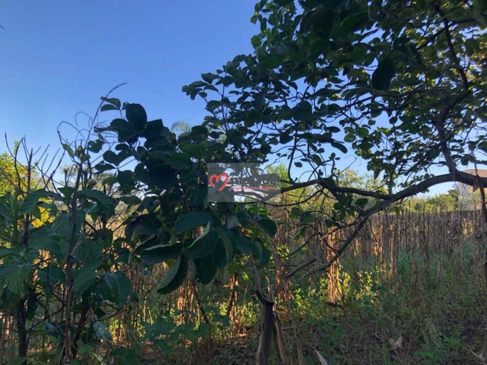 Chácara à venda com 5 quartos, 303m² - Foto 54