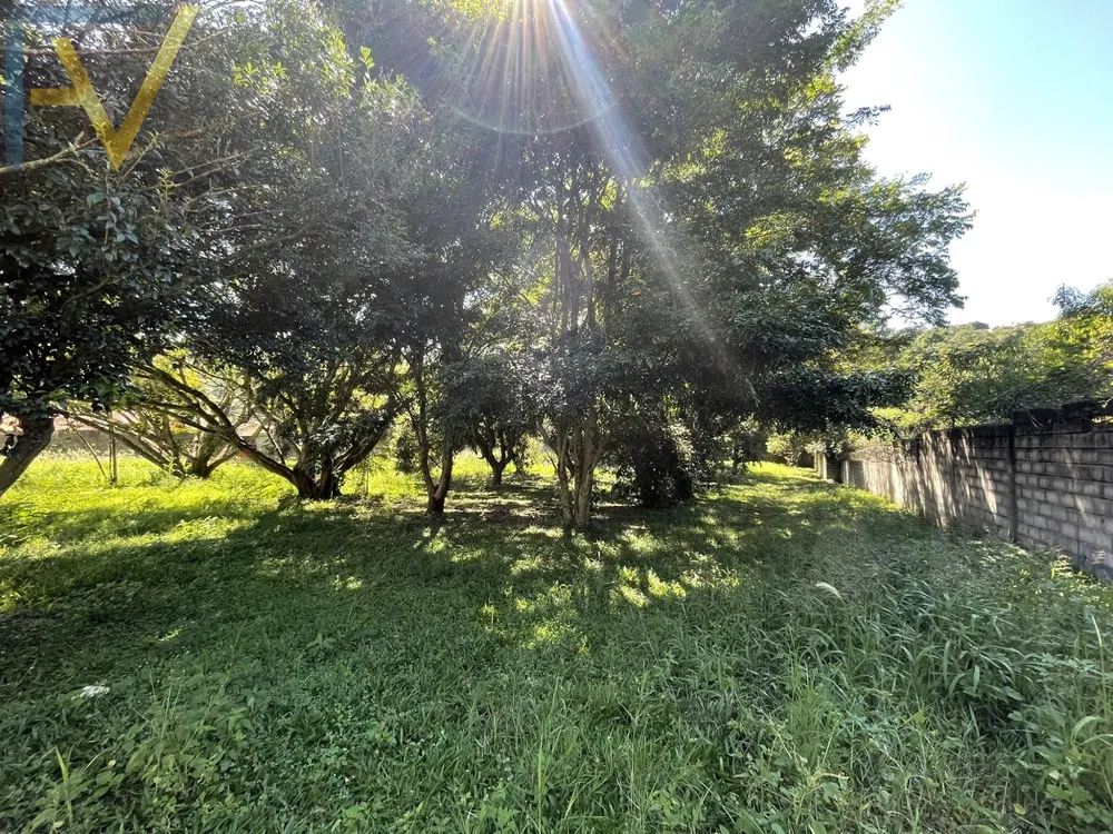 Chácara, 4 quartos, 9235 m² - Foto 6