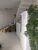 Casa, 3 quartos, 180 m² - Foto 1