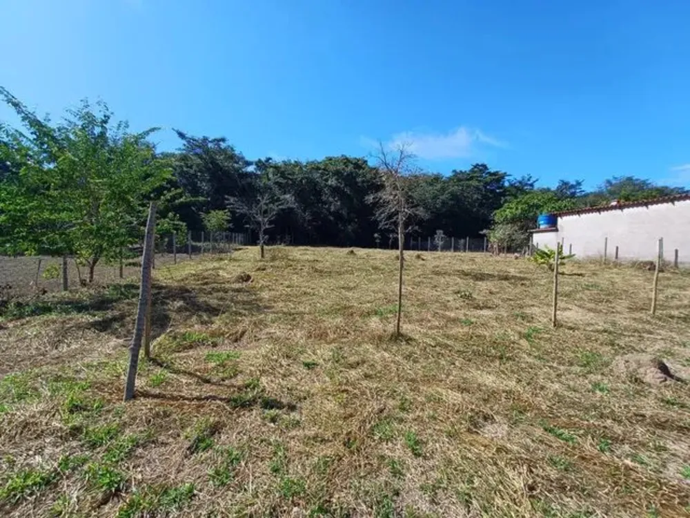 Casa, 3 quartos, 3000 m² - Foto 2