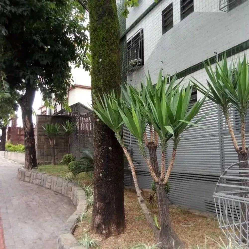 Apartamento, 2 quartos, 60 m² - Foto 2