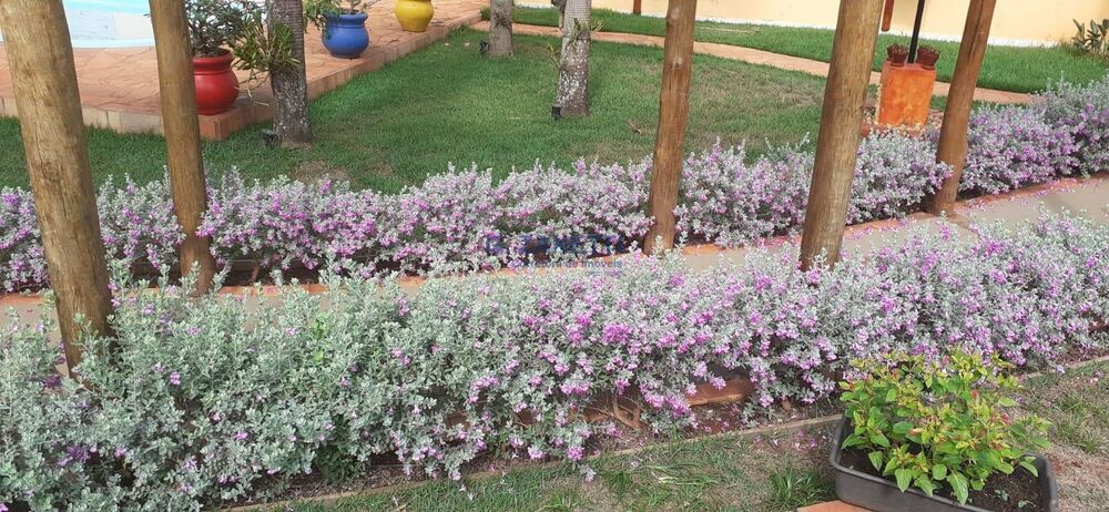 Casa, 3 quartos, 400 m² - Foto 2