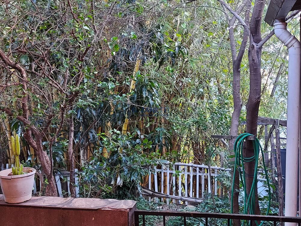 Casa, 2 quartos - Foto 23