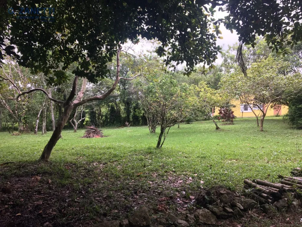 Chácara, 4 quartos, 25 hectares - Foto 12