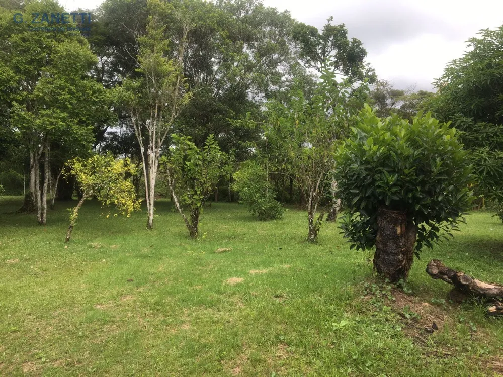 Chácara, 4 quartos, 25 hectares - Foto 9
