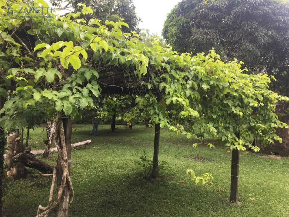 Chácara, 4 quartos, 25 hectares - Foto 14