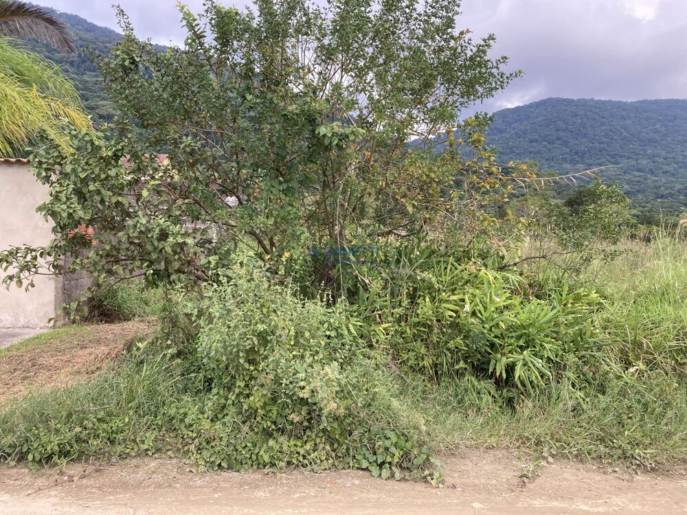 Terreno, 360 m² - Foto 2