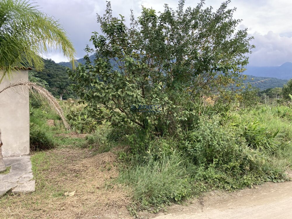 Terreno, 360 m² - Foto 3