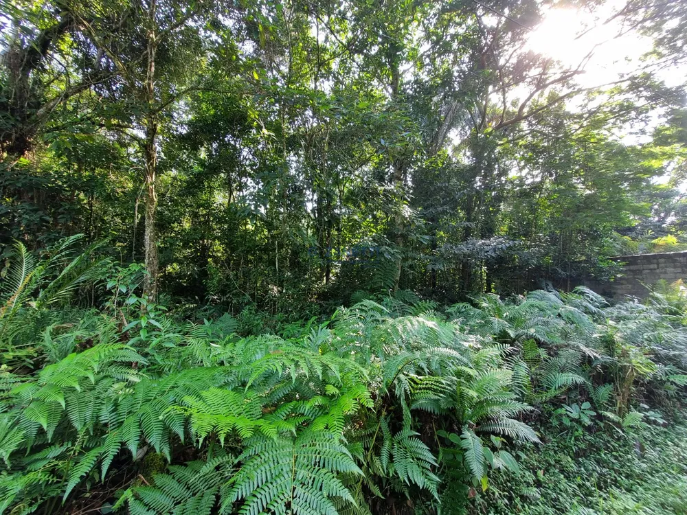 Terreno, 500 m² - Foto 2