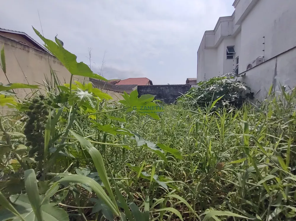 Terreno, 250 m² - Foto 2