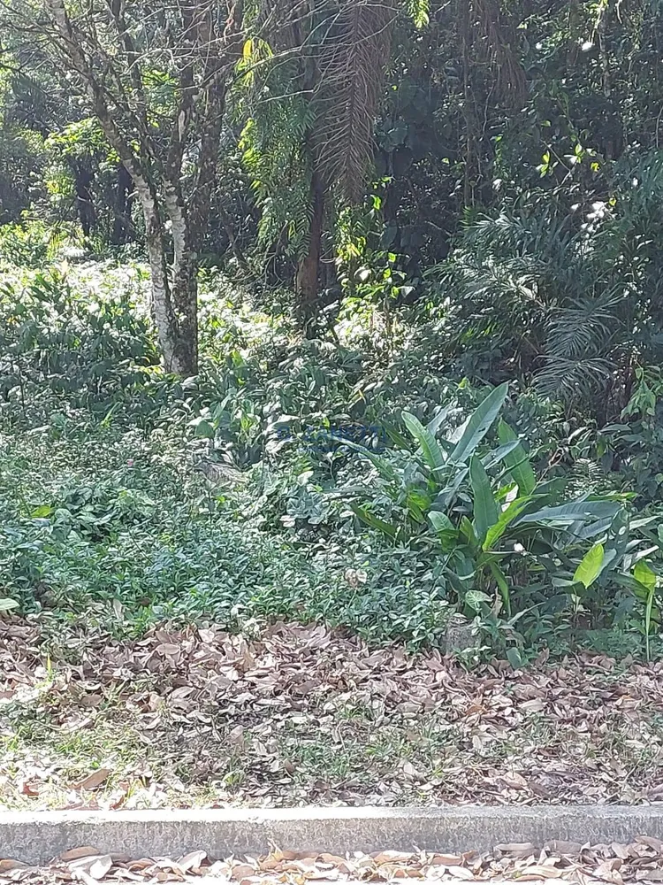Terreno, 500 m² - Foto 6