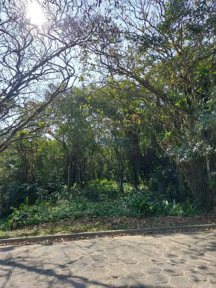 Terreno, 500 m² - Foto 5