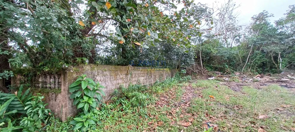 Terreno, 360 m² - Foto 3