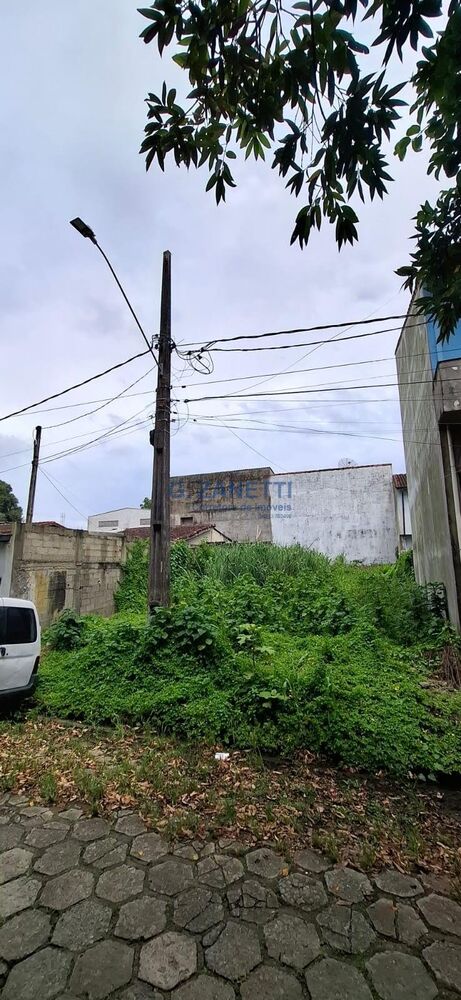 Terreno, 250 m² - Foto 1