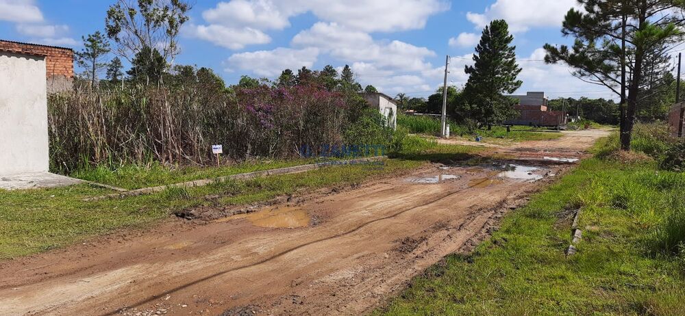 Terreno, 250 m² - Foto 3