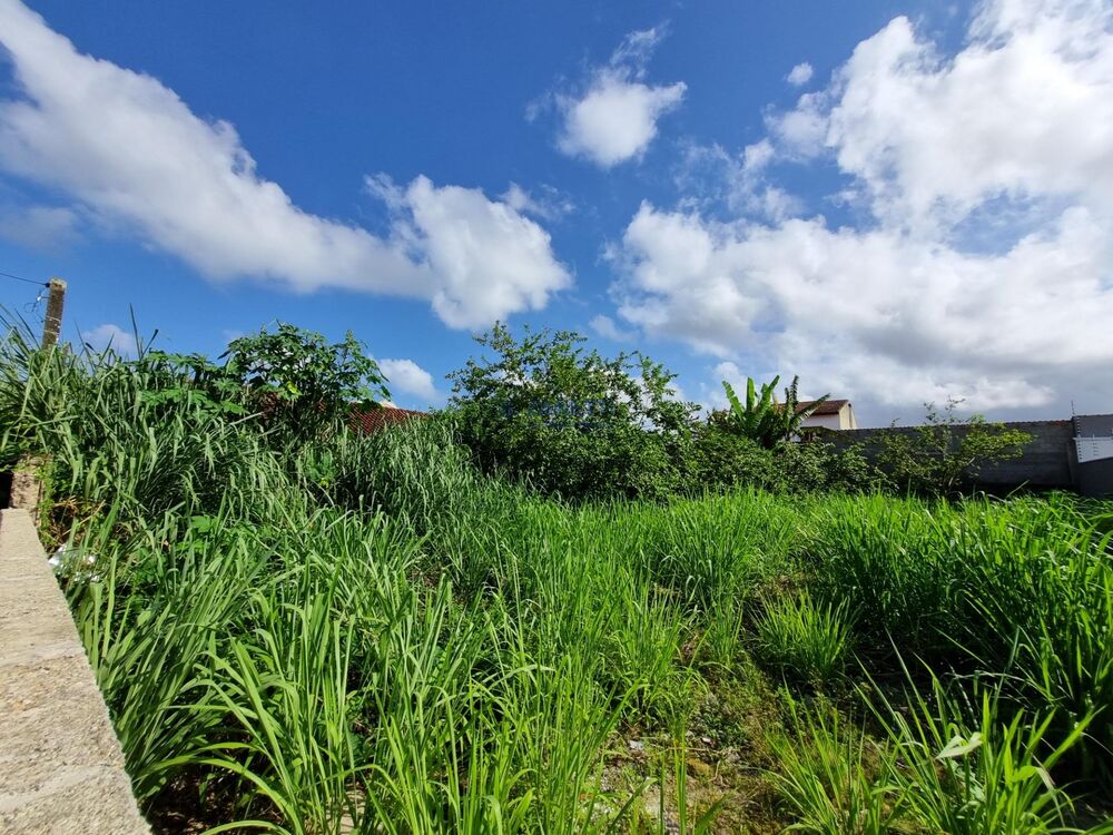 Terreno, 300 m² - Foto 1