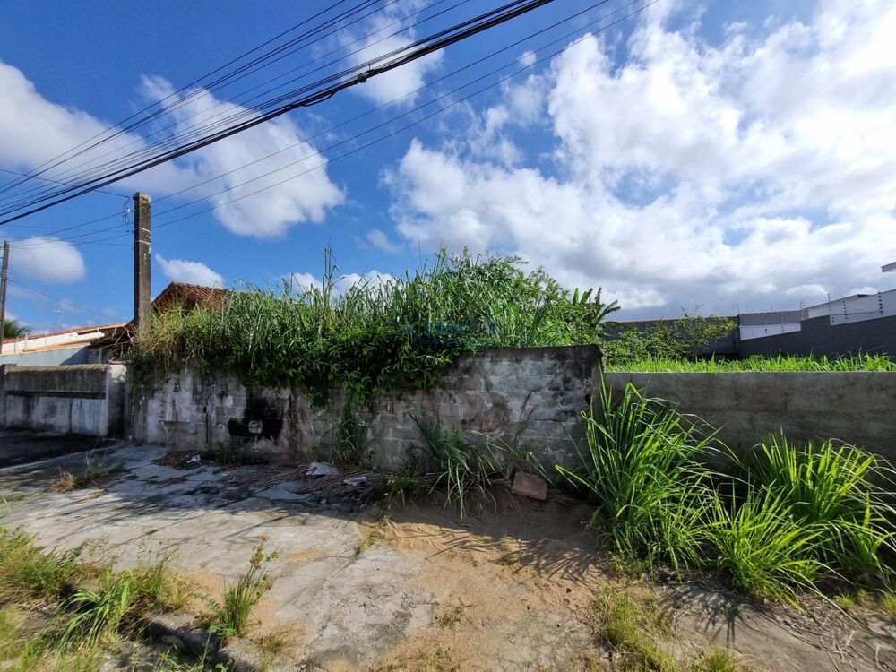 Terreno, 300 m² - Foto 2