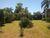Casa, 3 quartos, 126 m² - Foto 5