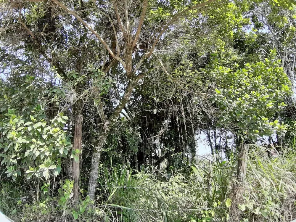 Terreno, 250 m² - Foto 1