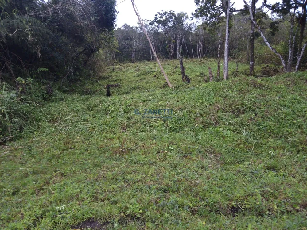 Terreno, 364 m² - Foto 5