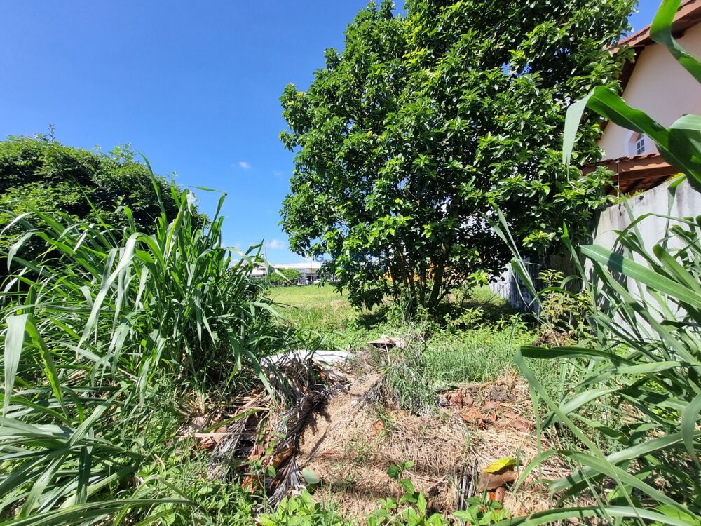 Terreno, 282 m² - Foto 1