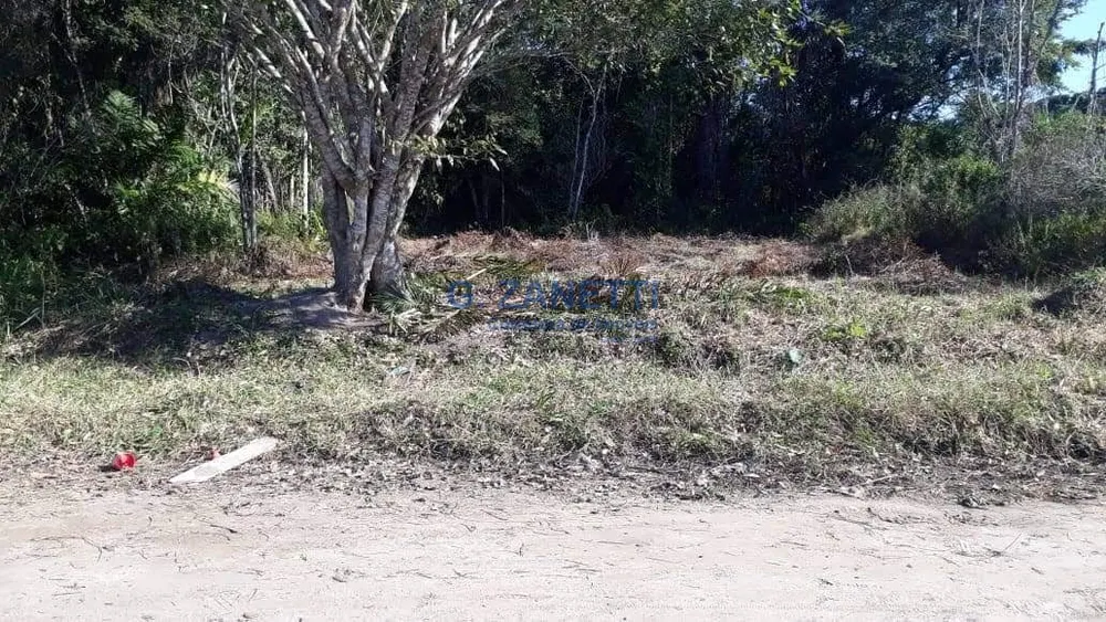 Terreno, 250 m² - Foto 1