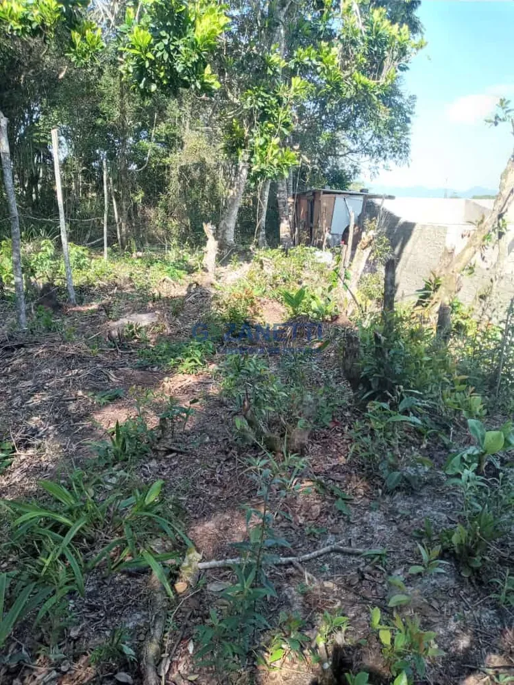 Terreno, 250 m² - Foto 8