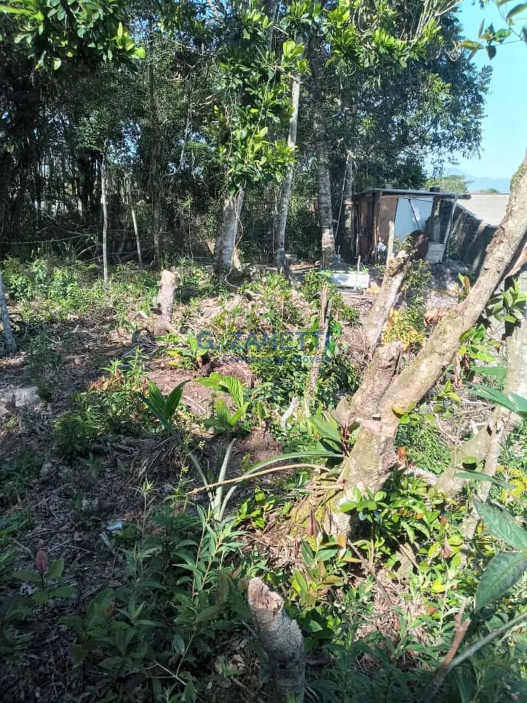 Terreno, 250 m² - Foto 6