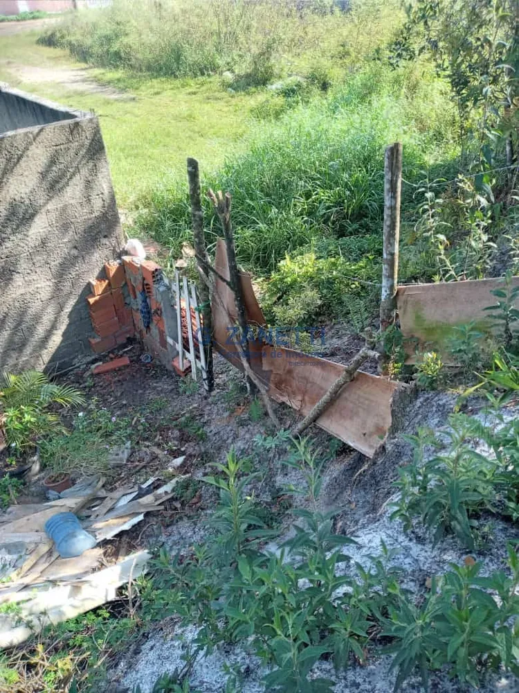 Terreno, 250 m² - Foto 7