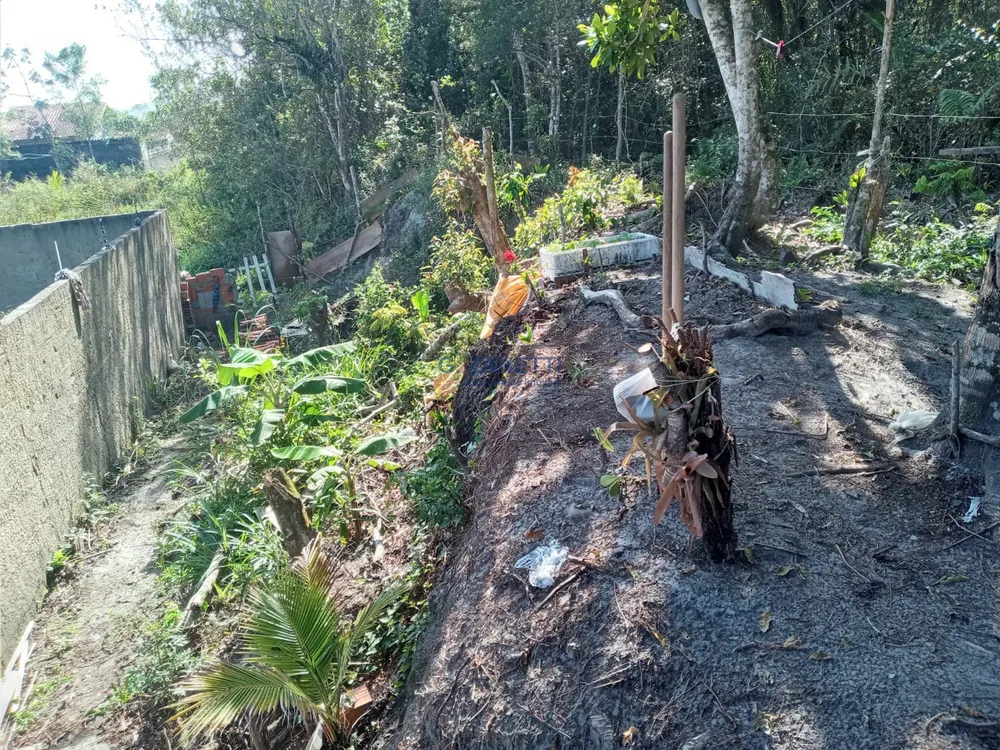 Terreno, 250 m² - Foto 5