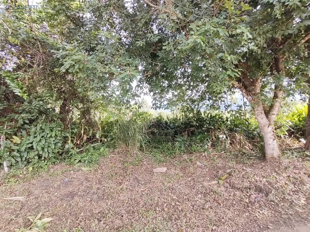 Terreno, 250 m² - Foto 1