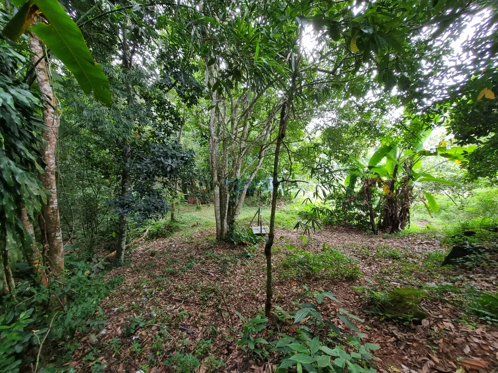 Terreno, 1706 m² - Foto 3