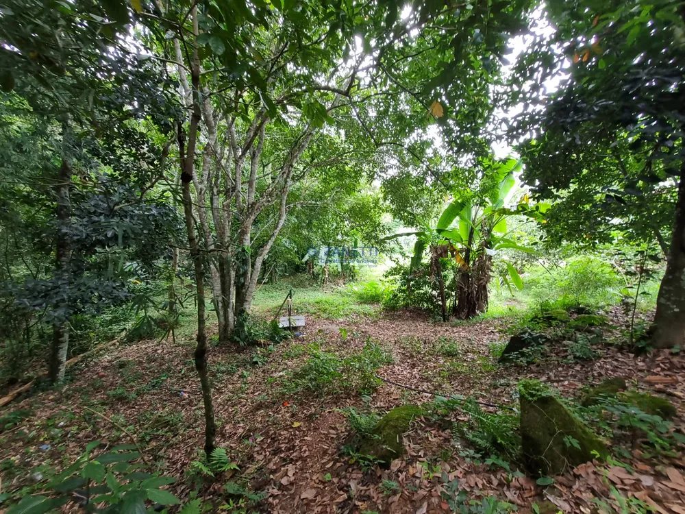 Terreno, 1706 m² - Foto 4
