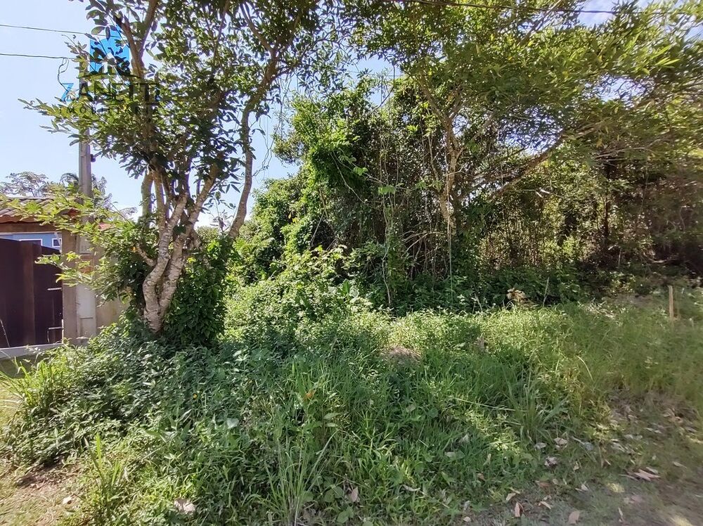 Terreno, 360 m² - Foto 3