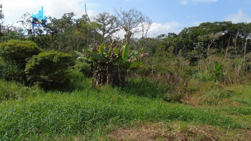 Chácara, 2 quartos, 4 hectares - Foto 2