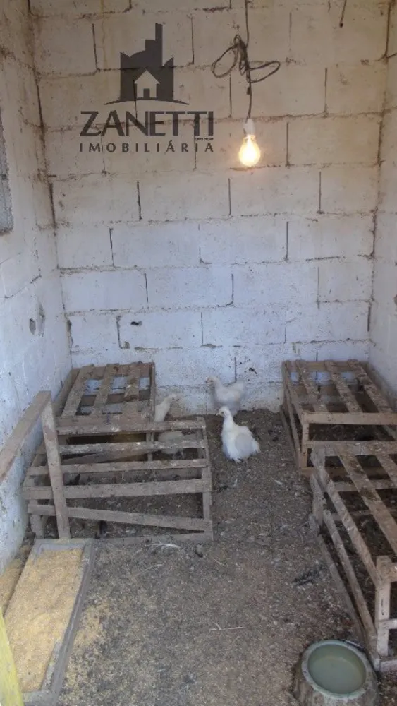 Sítio, 2 quartos, 4 hectares - Foto 14