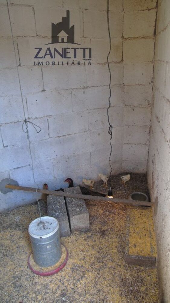 Chácara, 2 quartos, 4 hectares - Foto 4