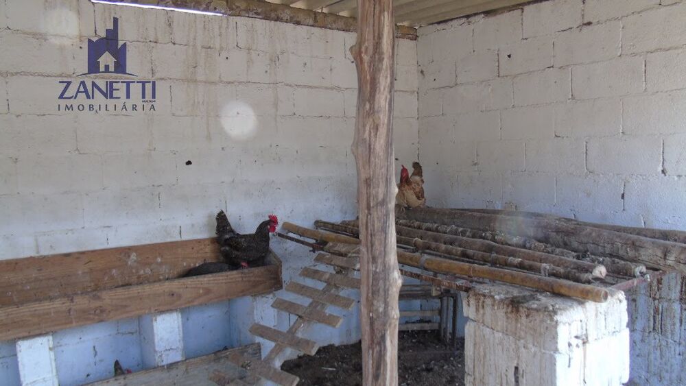 Chácara, 2 quartos, 4 hectares - Foto 3