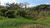 Chácara, 2 quartos, 4 hectares - Foto 2