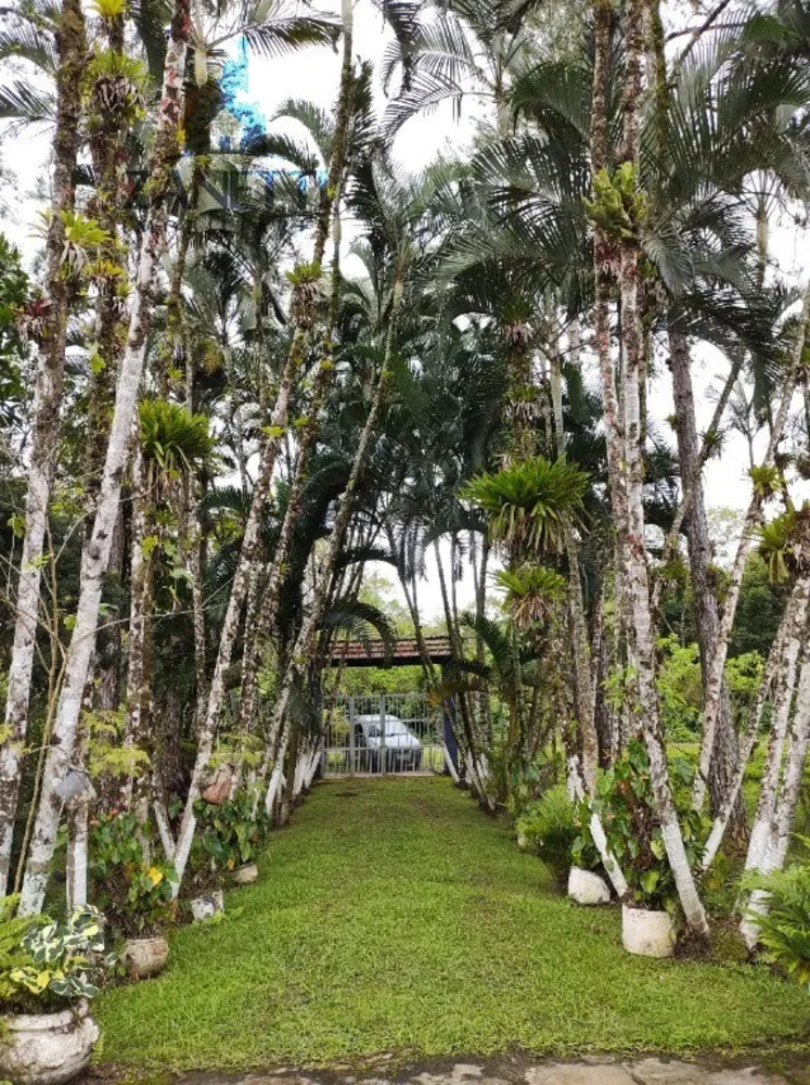 Sítio, 2 quartos, 1 hectares - Foto 6