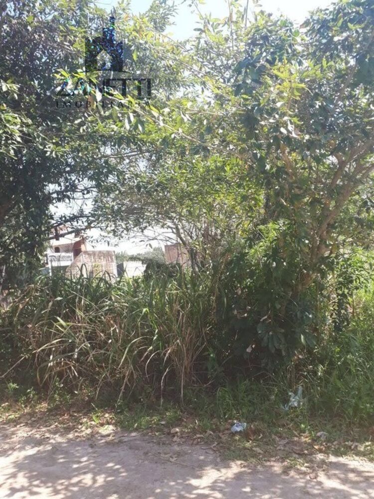 Terreno, 250 m² - Foto 3