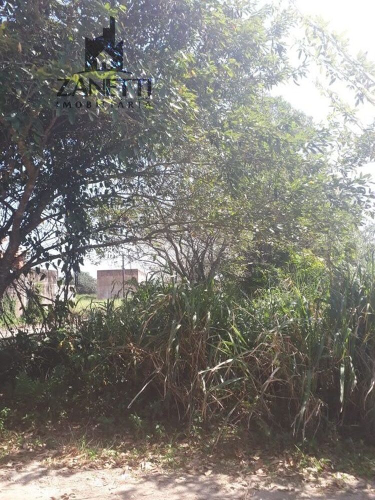 Terreno, 250 m² - Foto 4