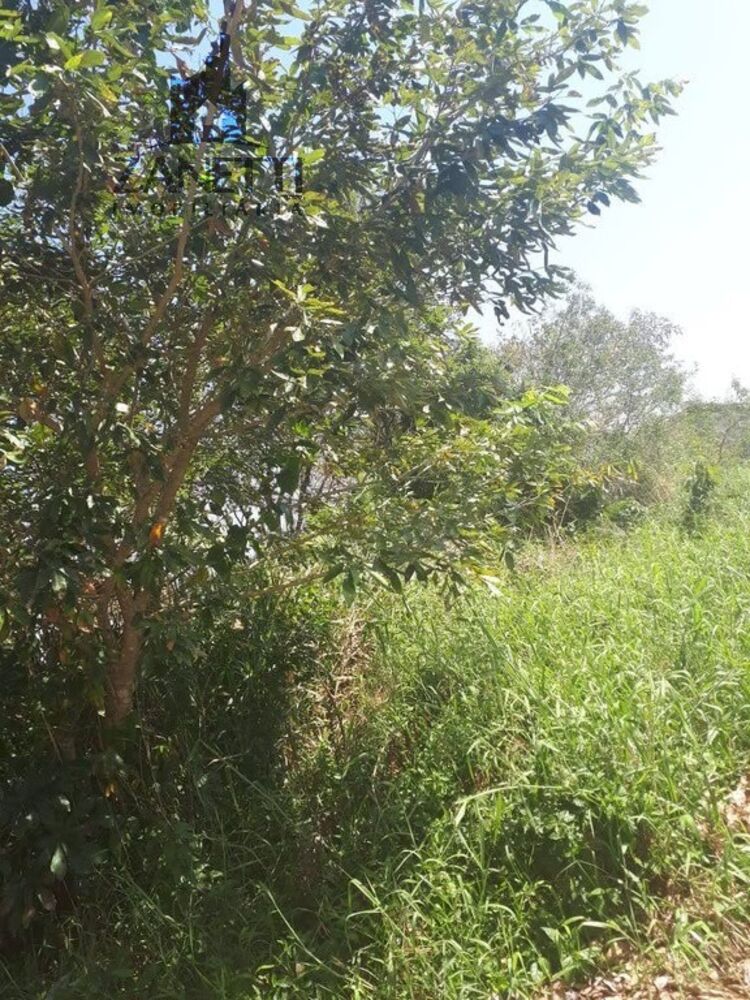 Terreno, 250 m² - Foto 2