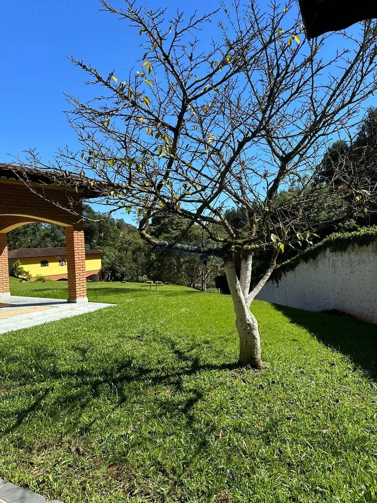 Sítio, 3 quartos, 4000 m² - Foto 10