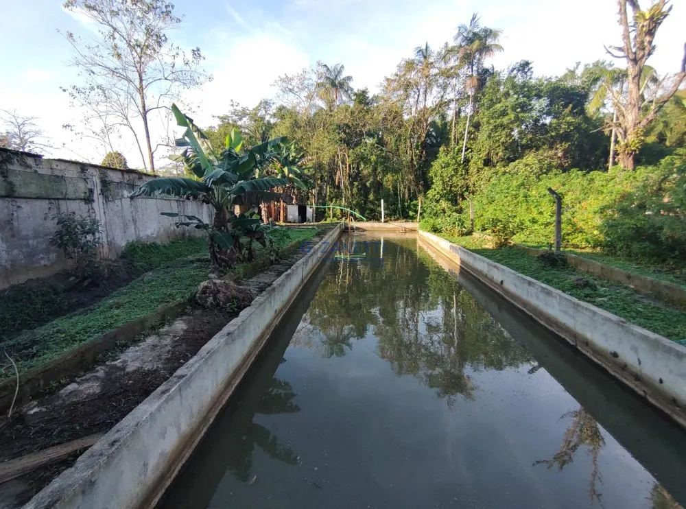 Sítio, 3 quartos, 2 hectares - Foto 7