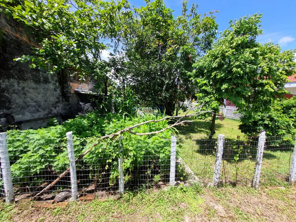 Casa, 5 quartos, 470 m² - Foto 3