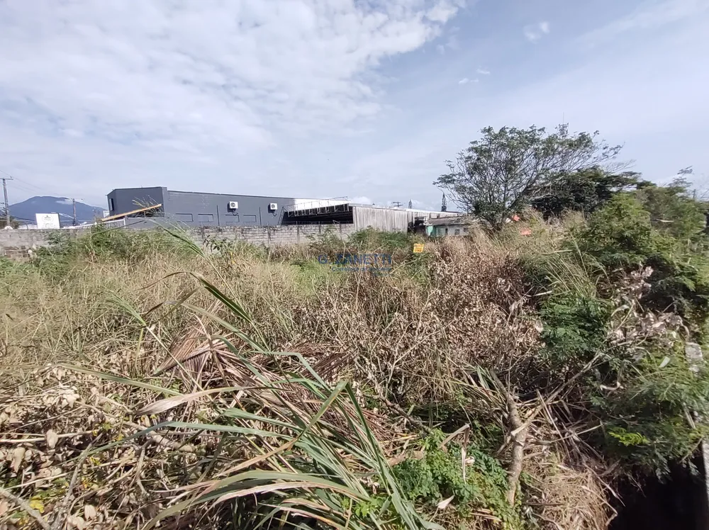 Terreno, 900 m² - Foto 3