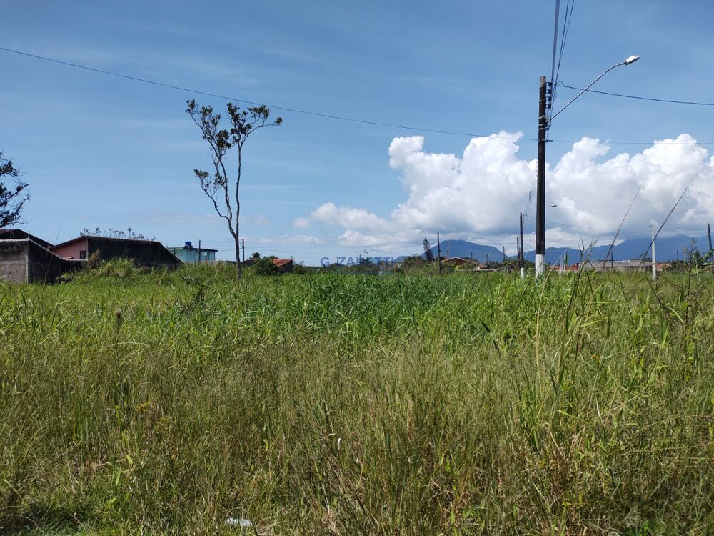 Terreno, 250 m² - Foto 1